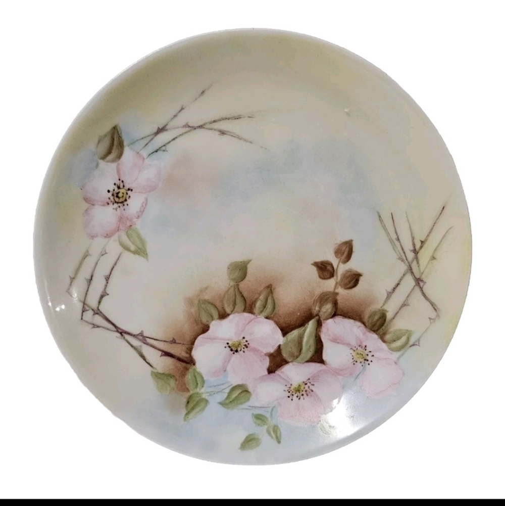Collectible Vintage "Favorite" Hand Painted Porcelain Bavaria Floral Plate - Picture 2 of 7